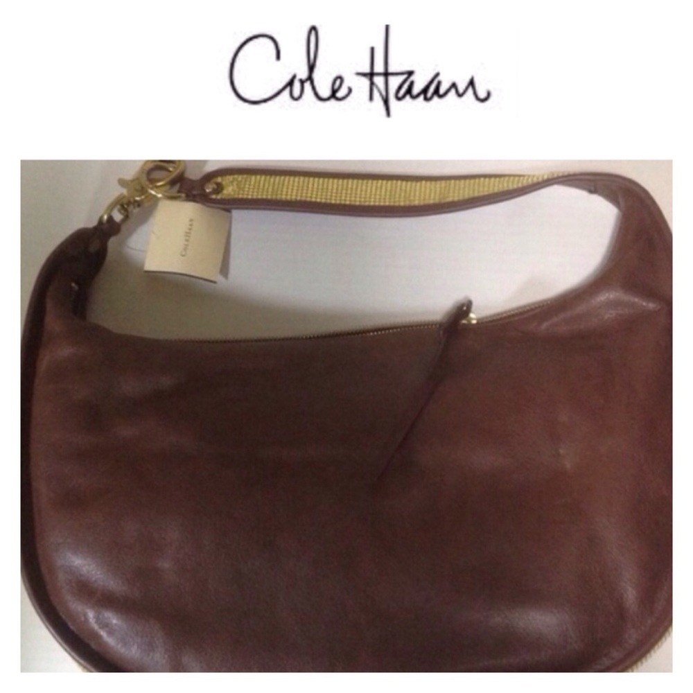 Brown & Gold Mesh Hobo